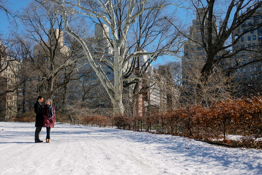 new york photographers