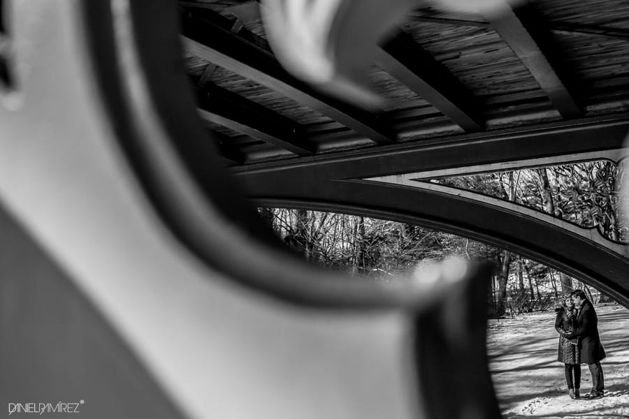 new york photographers