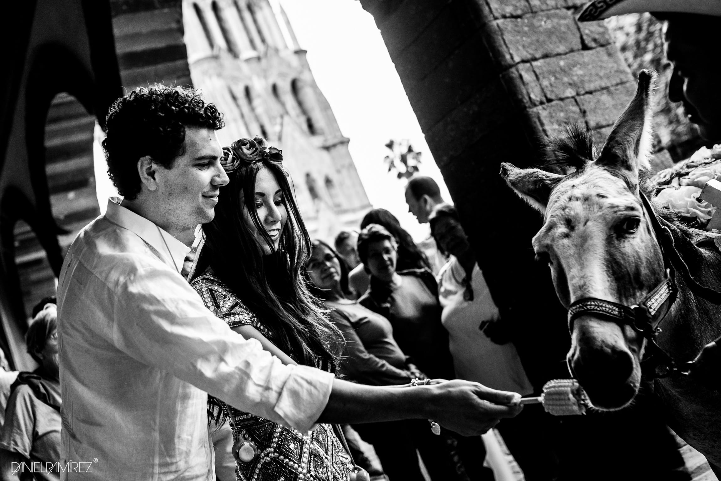burro boda san miguel