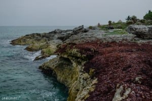 best wedding venues riviera maya