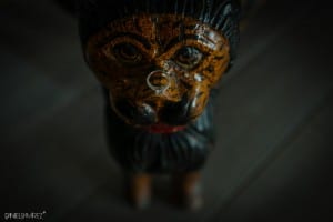 fotografos en cuernavaca