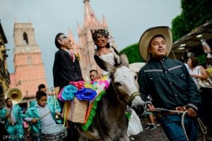 donkey wedding san miguel