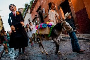 burro boda san miguel